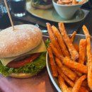 로미하우스 민박 | 드레스덴 여행 (feat. 로미하우스, 맛집, 사진스팟, 전망대, 필수코스)