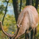 광생한의원 이미지