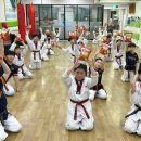 우진태권도 이미지