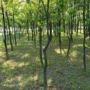 율하체육공원 축구장 이미지
