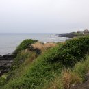 노을해안로 이미지