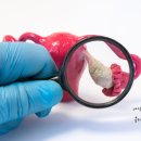 올리브여성의원 이미지