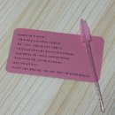 판암동177 | 대전역 근처 판암동 속눈썹펌 잘하는 [로블뷰티] 만족후기 | 첫방문 이벤트 특가 누리세요