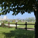 고양공원(배드민턴장 근처) 이미지