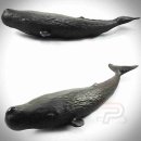 퍼니소프트 이미지