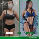 그린핏 코리아 이미지