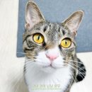 (주)휴벳 이미지