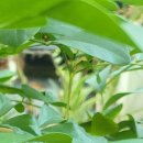 도울내과의원 이미지