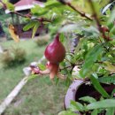 깜헤어샵 이미지