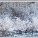 물안개민박 이미지