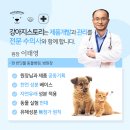 덴탈스토리 이미지