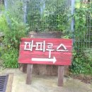 파피루스 캠핑장 이미지