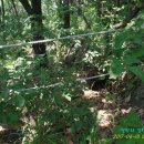 삼태산식당 이미지