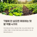7월에 심는작물 당근, 쪽파, 팥과 들깨