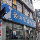 용마동물병원 | 광진구 중곡동 동물병원 용마동물병원 위치 오는길 후기