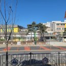 연경초등학교 앞 이미지