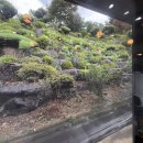 꽃게좋아 간장게장 | 군산게장 맛집 추천 '대가 꽃게장' - 간장게장 양념게장 솔직 후기