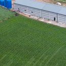 김장섭농장 이미지