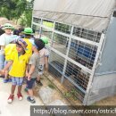 도학농장 이미지