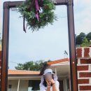 시고르스테이 이미지