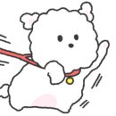 위클라드애견풀빌라 이미지