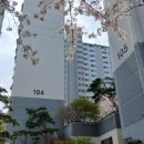 중앙하이츠빌1단지 이미지