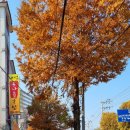 내덕콩나물국밥