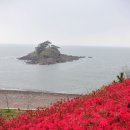 솔섬(송도) 네이버블로그