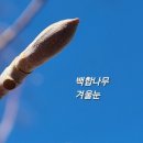 보배어린이공원 이미지