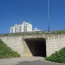 모노골샘터 이미지