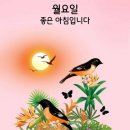 강서제주