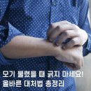 종암약국 | [신설동역헬스장] 🦟 모기 물렸을 때 대처법 총정리! 가려움 빨리 없애는 꿀팁