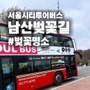 서울시티투어버스 타고 남산타워 벚꽃 나들이 🌸 명당 코스 &amp; 이용 꿀팁 총정리