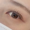 트리니티 | 광교 속눈썹펌 / 눈이 똘망해지는 L컬 맛집 트리니티 뷰티 후기 / 가격, 이벤트, 주차