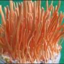 도원산업 이미지