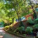 백야자연휴양림 이미지