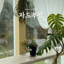 하늘5(동쪽) | 제주 동쪽 구좌읍 감성카페 자드부팡 내돈내산 후기