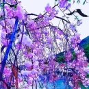 은혜여인숙 이미지