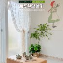 하늘꿈약국 | 혼자 제주도 한달살기 비용 절약 SK렌터카 제주 한달살기 숙소 추천