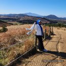 우도수산 | 성산일출봉 횟집 남양수산｜천황돔 지리탕까지 완벽한 제주 로컬 참돔 맛집 (내돈내산)