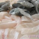 성도식당 - 안산시 단원구 | 성도식당