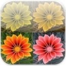 검안아이케어안경 이미지