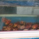 해오름 | 감포맛집 감포횟집 해오름회식당 솔직후기