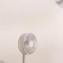 코티스 더 브릿지 이미지