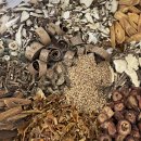 신탄진금강한의원 이미지