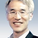 감사나무 이미지