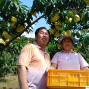 장택농장 이미지