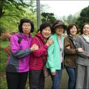 담화당 이미지