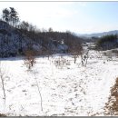 정가네위 이미지