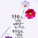 푸른언덕님의 (기)로 이어갑니다 이미지